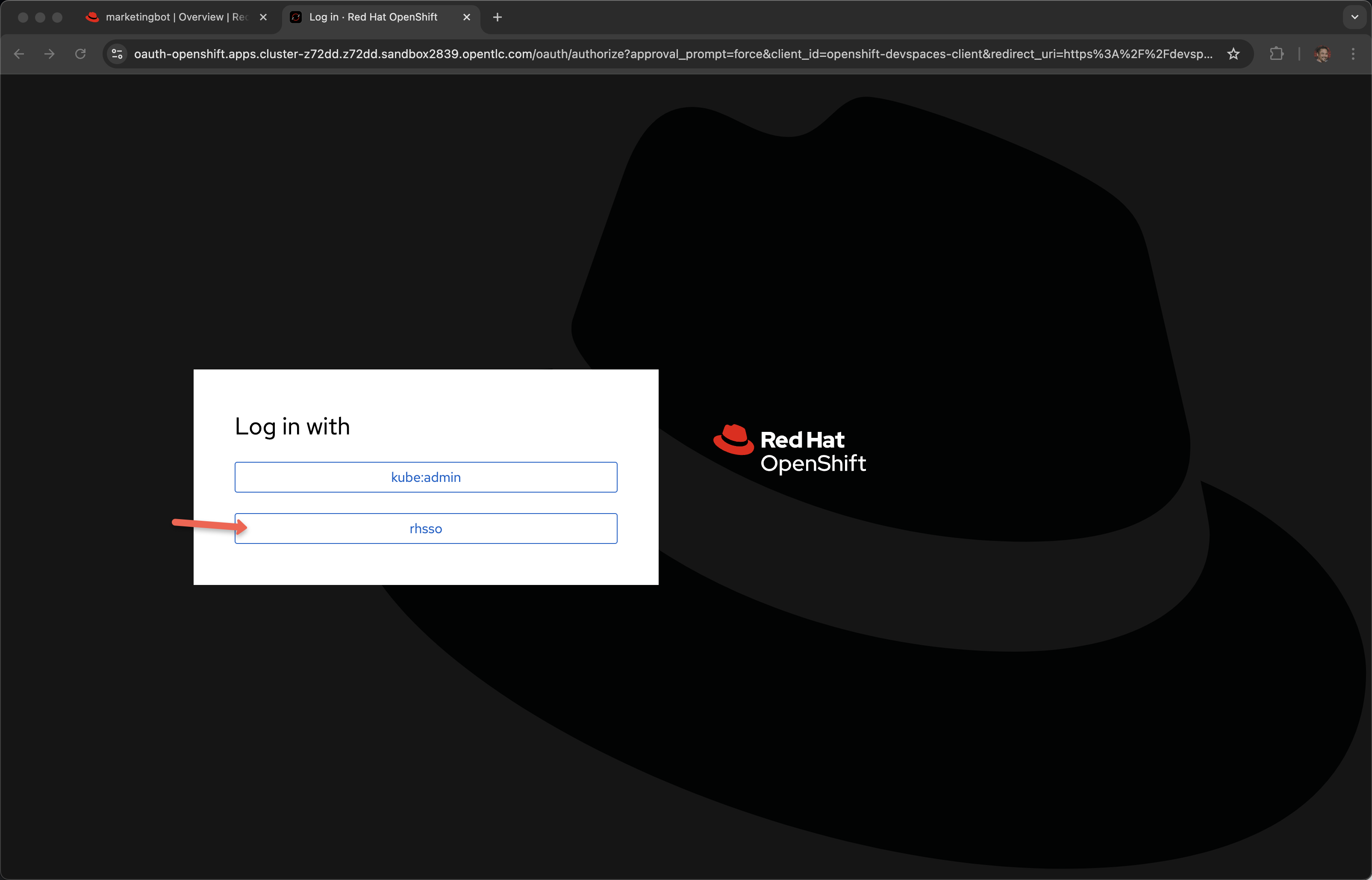 chatbot 29